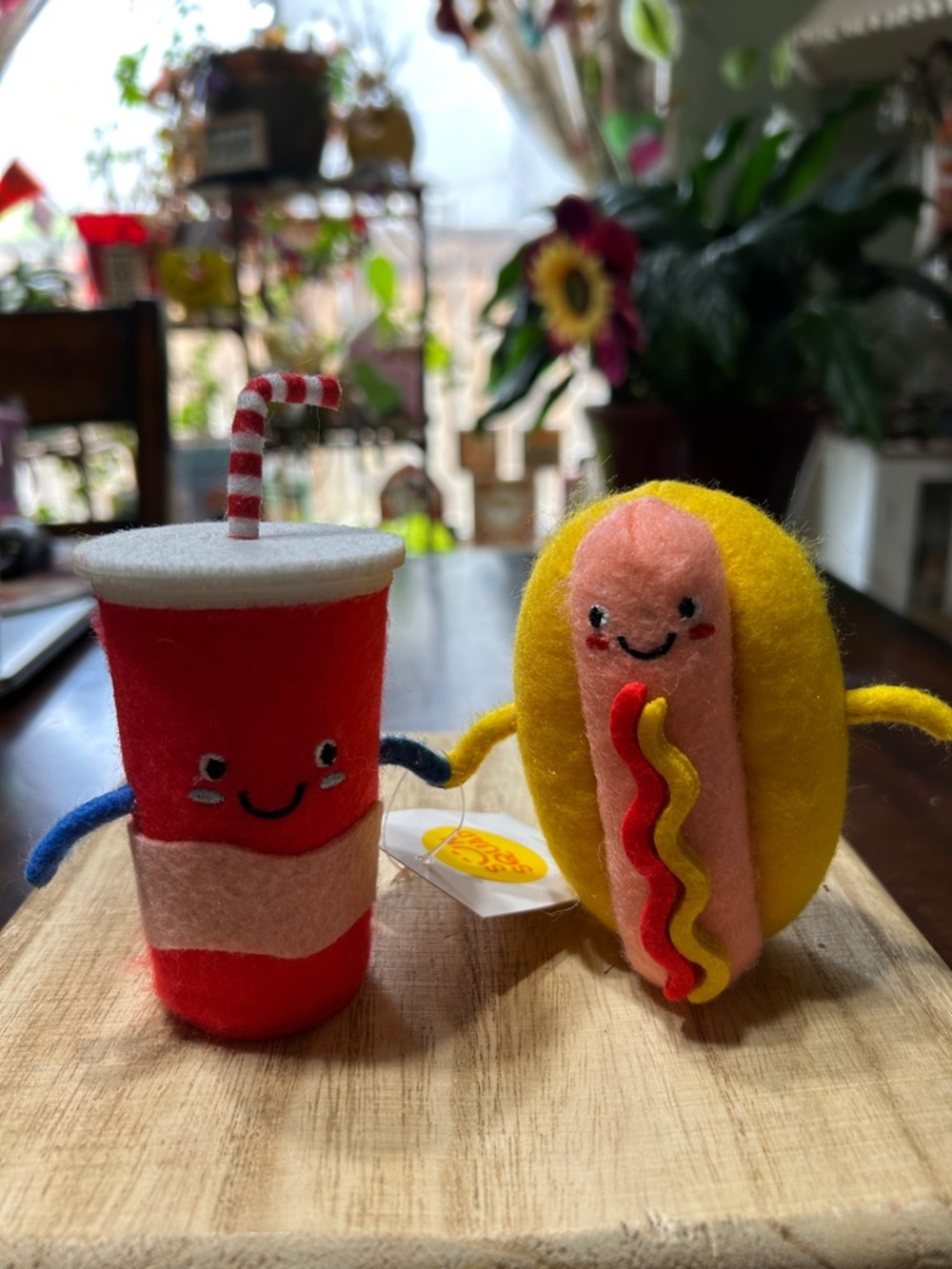Sun Squad Felt Soda & Hot Dog Duo Figure NWT  2023